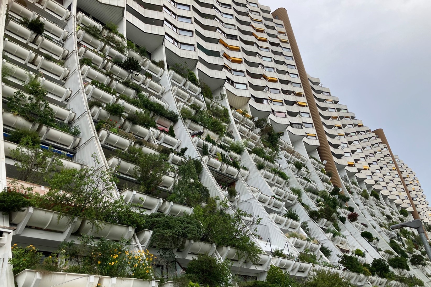 Vienne : Coopérative Alt-Erlaa, détail de façade avec balcons