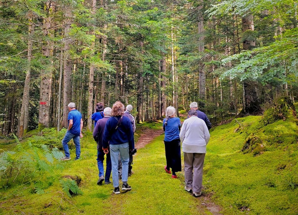 Forêt de la section de commune des Béaux,