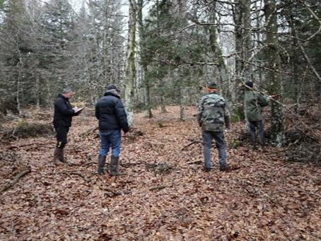 Répartition des arbres à couper dans le cadre de la mise en œuvre d’une coupe de bois d’affouage, forêt sectionale de Cheylard l’Evèque, Lozère