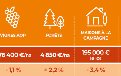 Les marchés fonciers ruraux en 2024 : une année très contrastée
