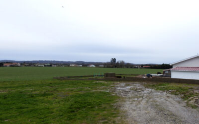 “Limiting land consumption practices in Europe”. Editorial du numéro special de Town Planning Review