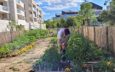 Journée d’études du 20 janvier 2026 : Foncier et sols vivants ?  Réconcilier Aménagement et fonctions écologiques des sols
