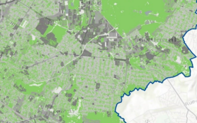 Le jardin pavillonnaire, nouvel objet foncier de la ville dense