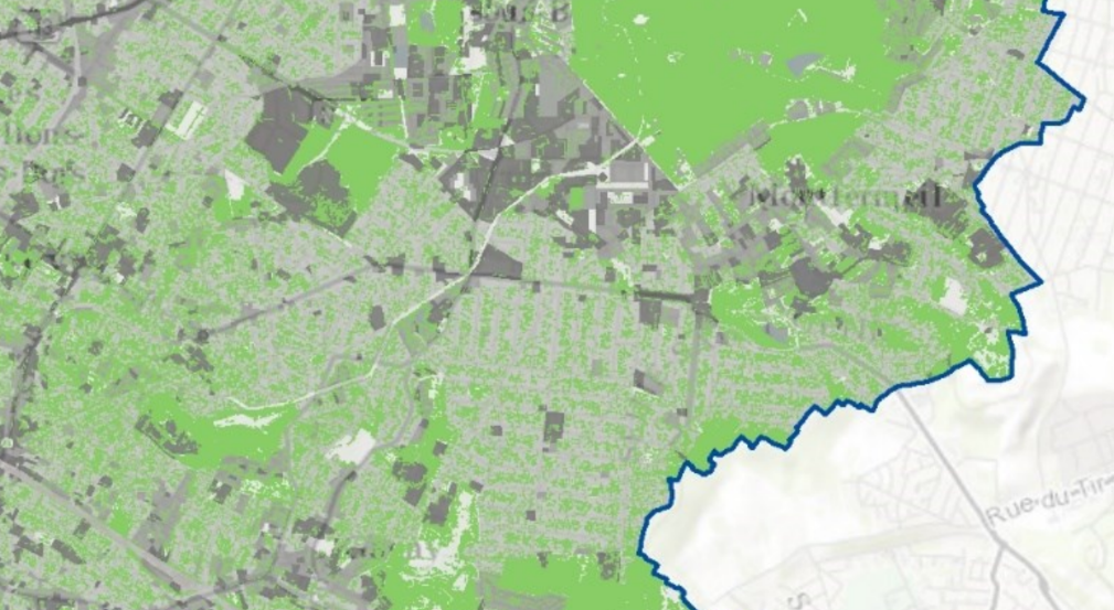 EB rame verte locale : rugosité des espaces minéraux