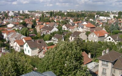 La taille compte : les jardins domestiques face à la densification