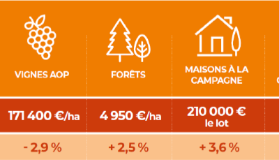Les marchés fonciers ruraux dynamiques en 2025