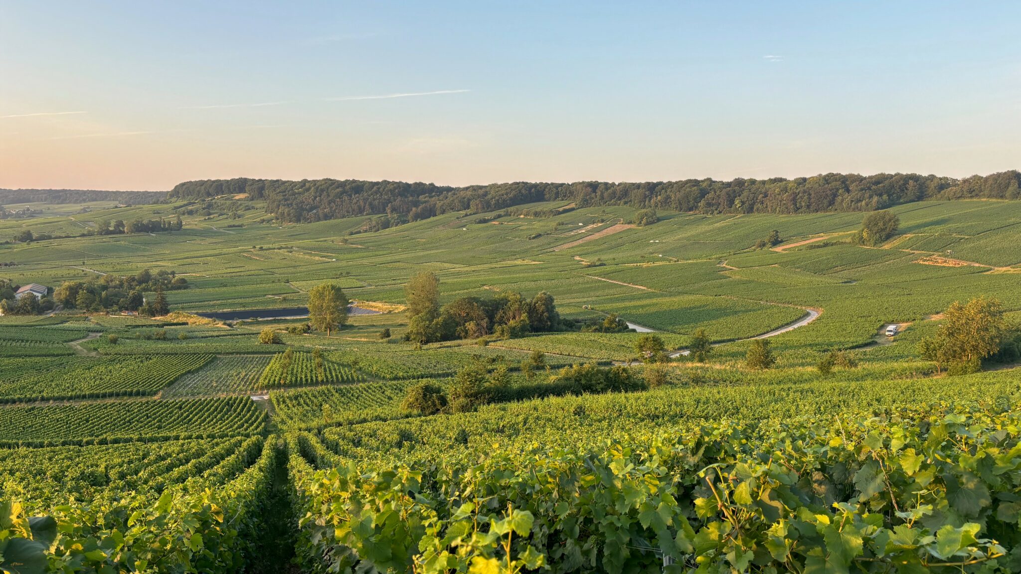 paysage champenois
