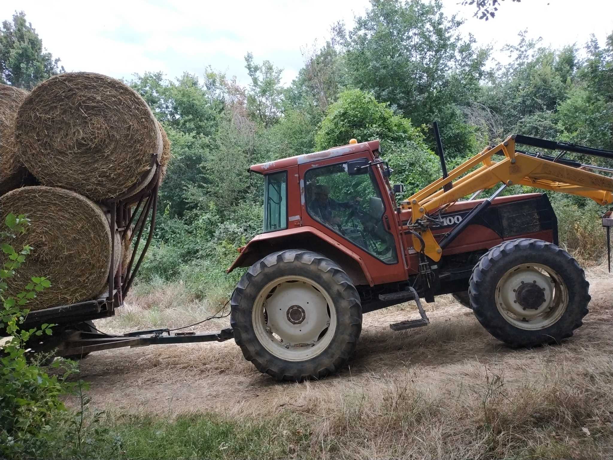 La politique agricole commune (PAC) et le foncier